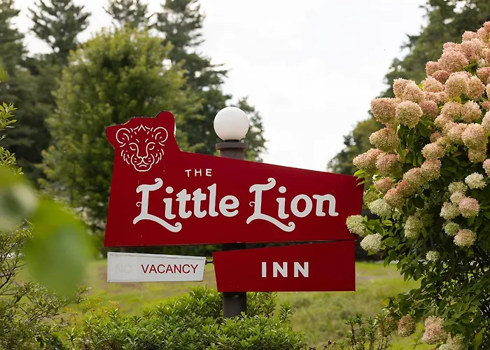 The Little Lion